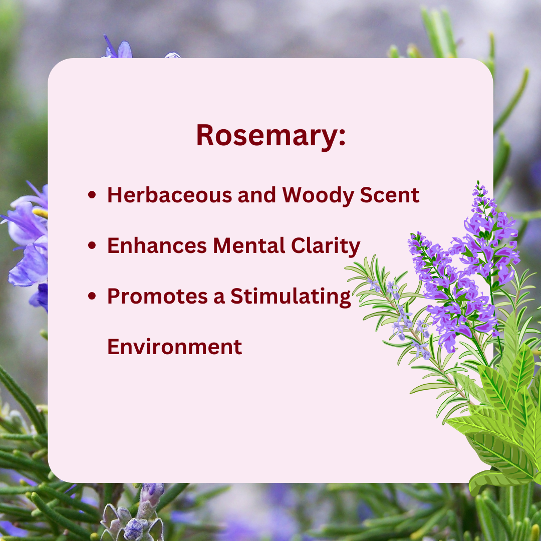 TGF Aroma Therapy Candle - Rosemary